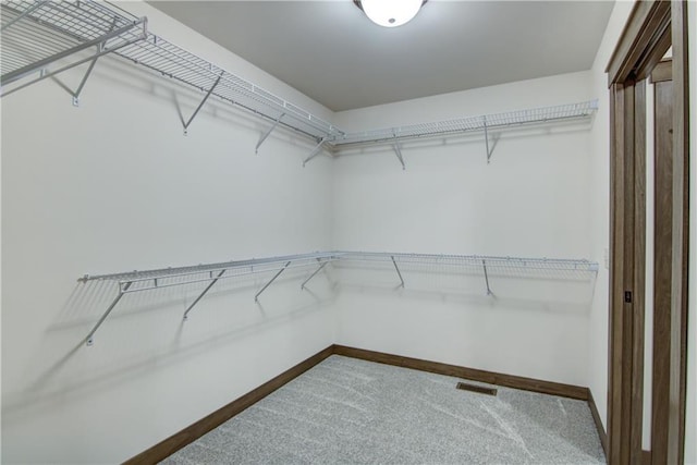 1319 Carli Ct Lot 80, Chippewa Falls, WI 54729 - spacious closet featuring carpet floors