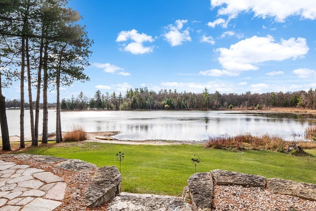 view of yard with a water view