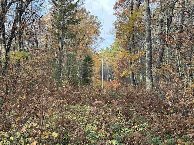 Loton Cth F, Lac Du Flambeau WI, 54538 land for sale