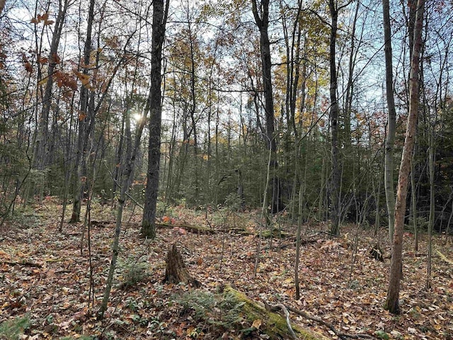 Listing photo 3 for Loton Cth F, Lac Du Flambeau WI 54538