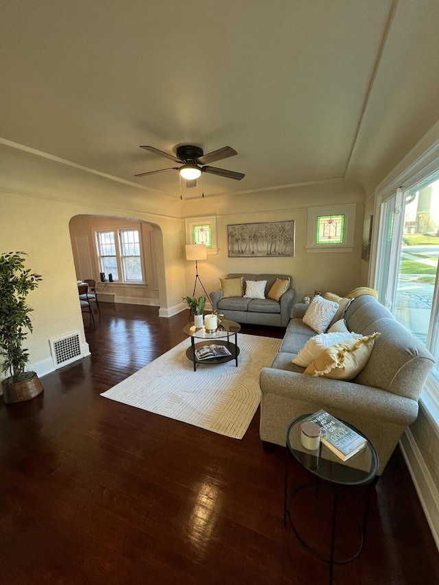 living room with ceiling fan and dark hardwood / wood-style flooring