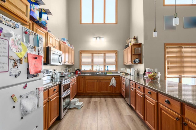 kitchen with appliances with stainless steel finishes, light hardwood / wood-style floors, hanging light fixtures, and a healthy amount of sunlight