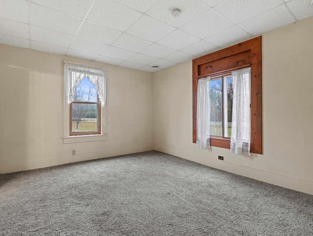 spare room with plenty of natural light, carpet, and a drop ceiling