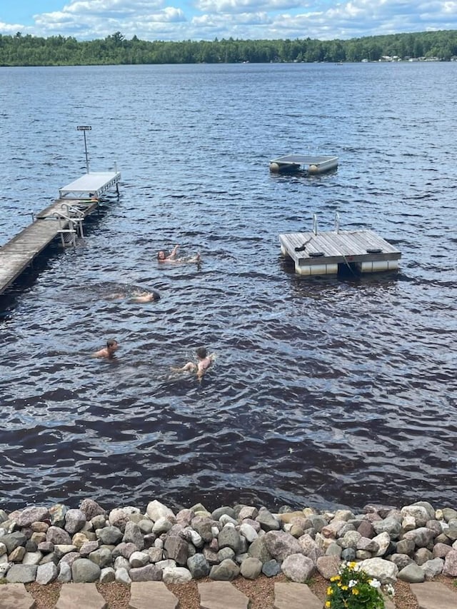 dock area with a water view