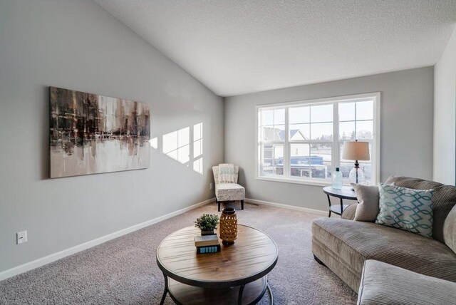 sitting room with carpet, a textured ceiling, and vaulted ceiling