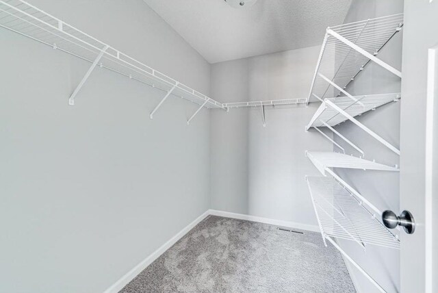 spacious closet featuring carpet flooring