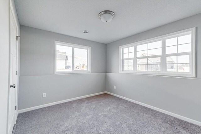 spare room featuring light carpet