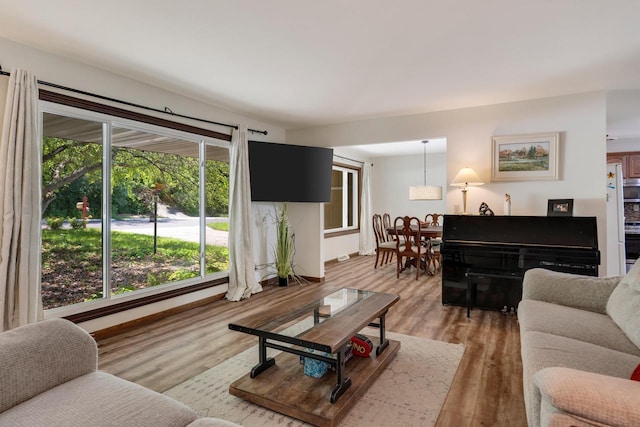 living room with hardwood / wood-style floors and a healthy amount of sunlight