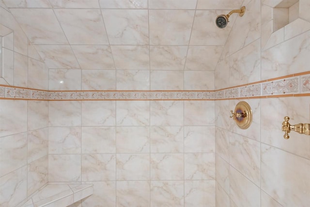 2730 Chestnut Dr, Plover, WI 54467 - full bathroom with a tile shower