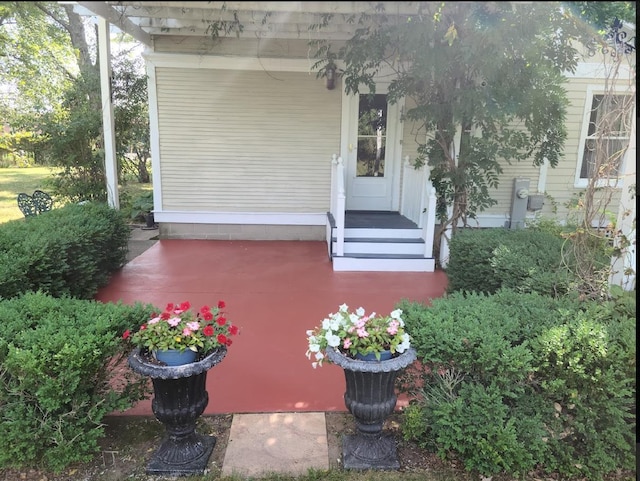 2730 Chestnut Dr, Plover, WI 54467 - property entrance featuring a porch