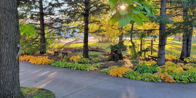 2730 Chestnut Dr, Plover, WI 54467 - view of property's community