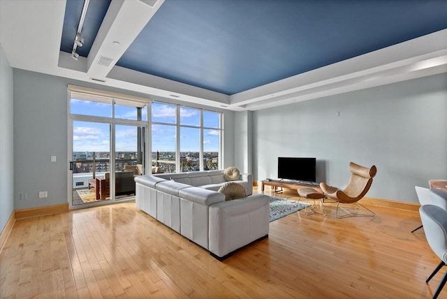 living room featuring a raised ceiling and light wood-type flooring