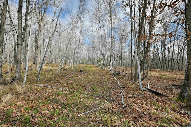 11242 S Pierce Rd, Solon Springs, WI 54873 - view of local wilderness