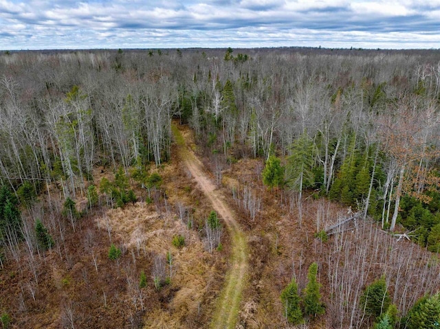 11242 S Pierce Rd, Solon Springs, WI 54873 - aerial view of a heavily wooded area