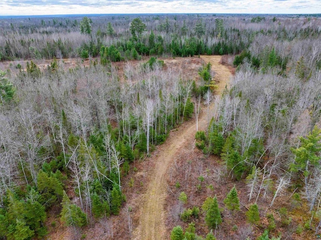 11242 S Pierce Rd, Solon Springs, WI 54873 - bird's eye view of a heavily wooded area
