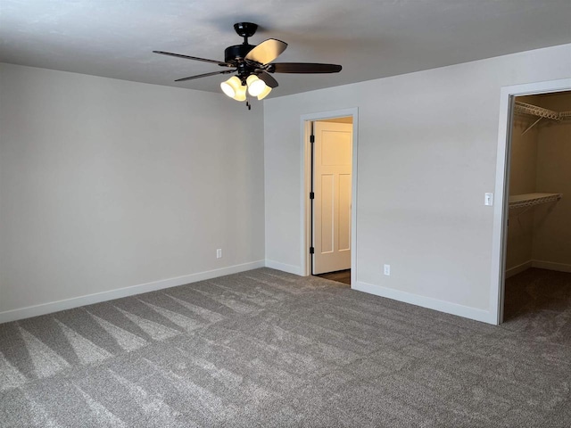 unfurnished bedroom featuring a walk in closet, carpet, ceiling fan, and a closet