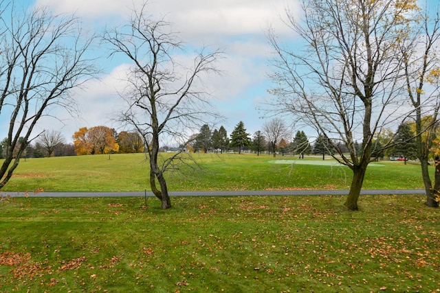 view of property's community with a yard