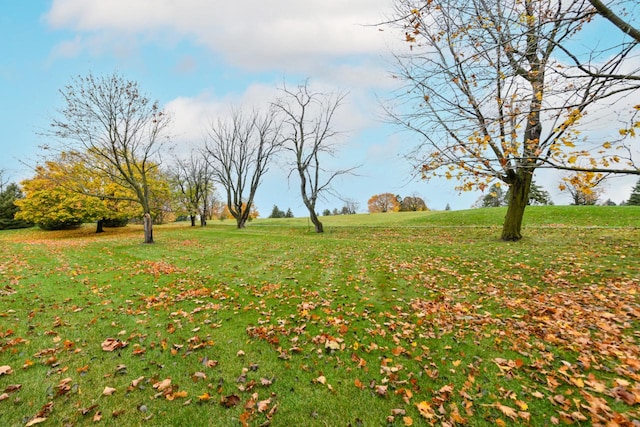 view of yard featuring a rural view