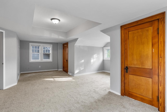 bonus room with light colored carpet