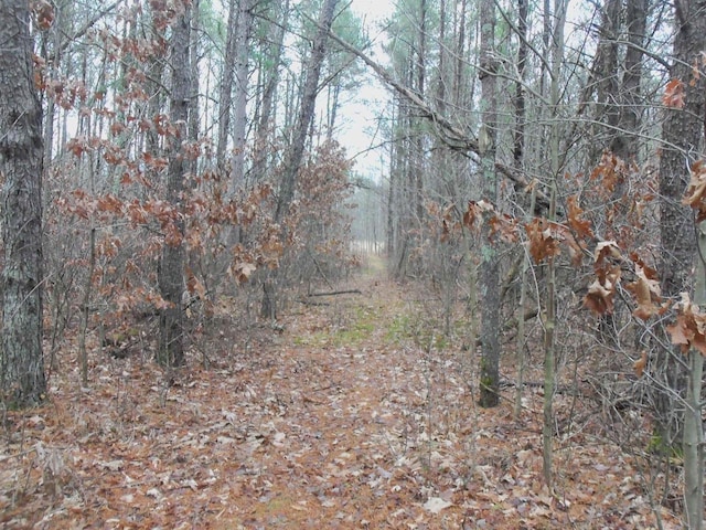 1122 Badger Ave, Nekoosa, WI 54457