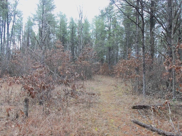 1122 Badger Ave, Nekoosa, WI 54457