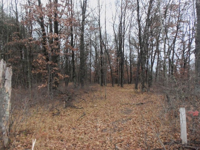 1122 Badger Ave, Nekoosa, WI 54457