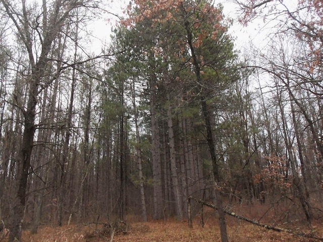 1122 Badger Ave, Nekoosa, WI 54457