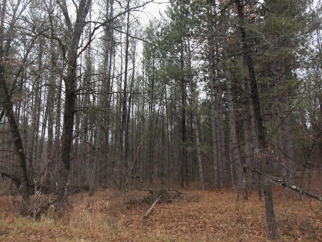 1122 Badger Ave, Nekoosa, WI 54457