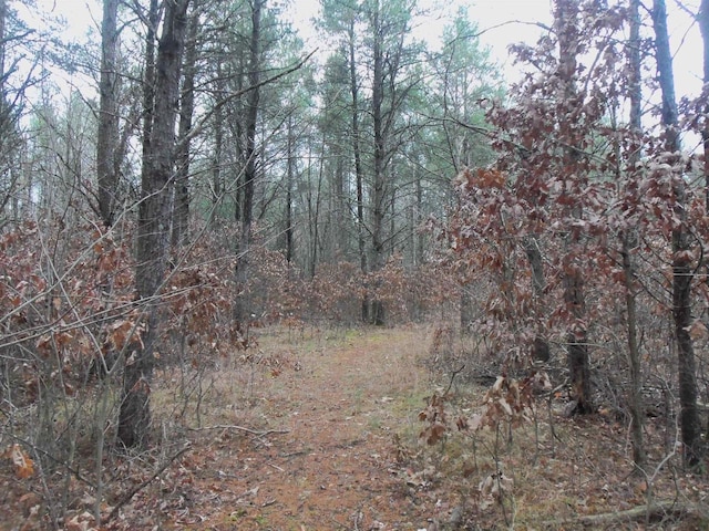 1122 Badger Ave, Nekoosa, WI 54457