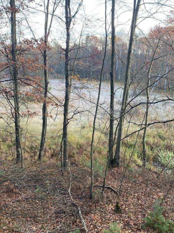 1122 Badger Ave, Nekoosa, WI 54457