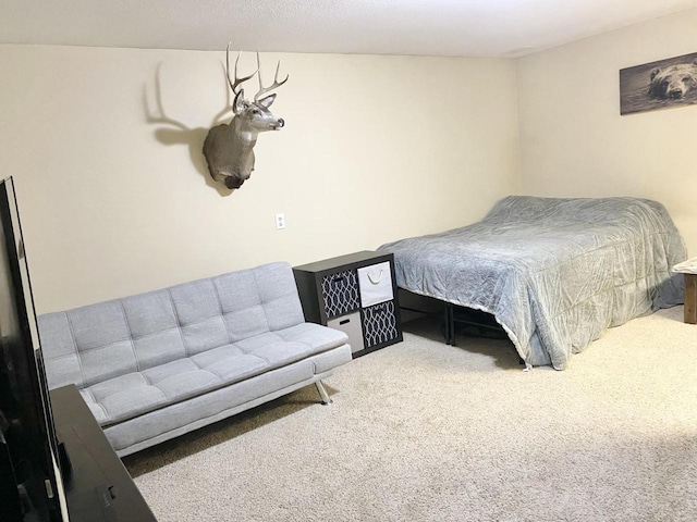 bedroom featuring carpet flooring