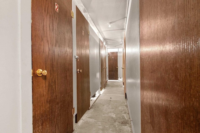 corridor featuring wooden walls