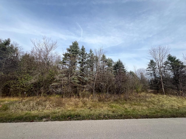 Joseph Peters Dr, Neenah WI, 54956 land for sale