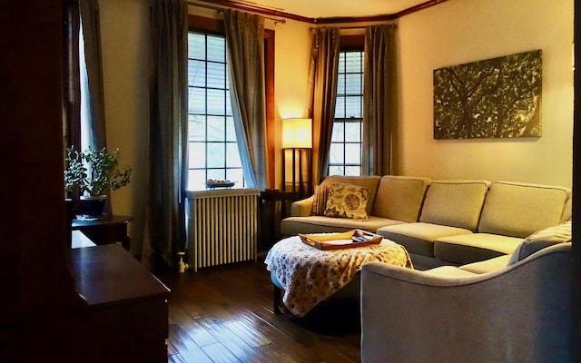 living room featuring radiator heating unit, ornamental molding, and dark wood-type flooring