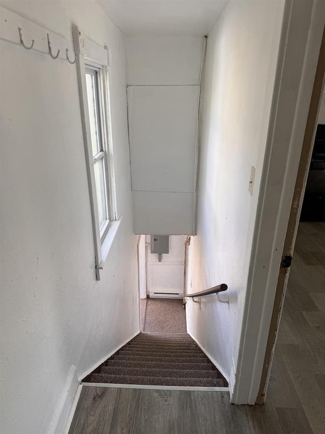 stairway with hardwood / wood-style floors and plenty of natural light