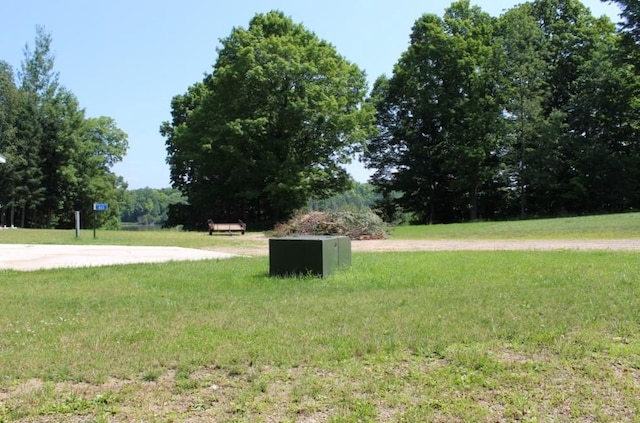 Forest Ln, Pickerel, WI 54465