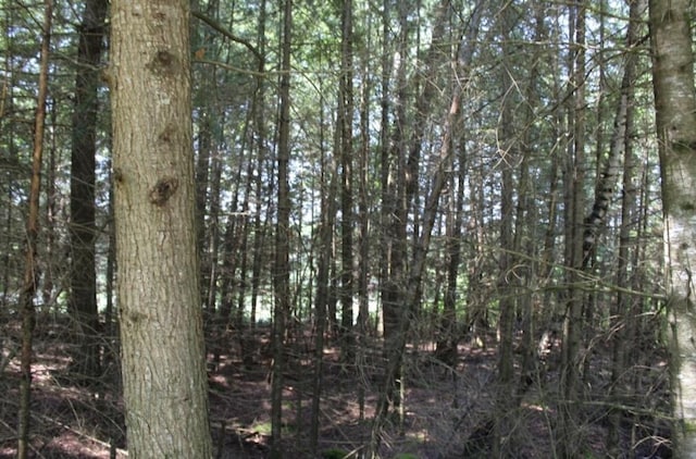 Forest Ln, Pickerel, WI 54465