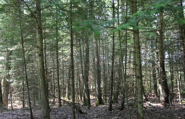 Forest Ln, Pickerel, WI 54465