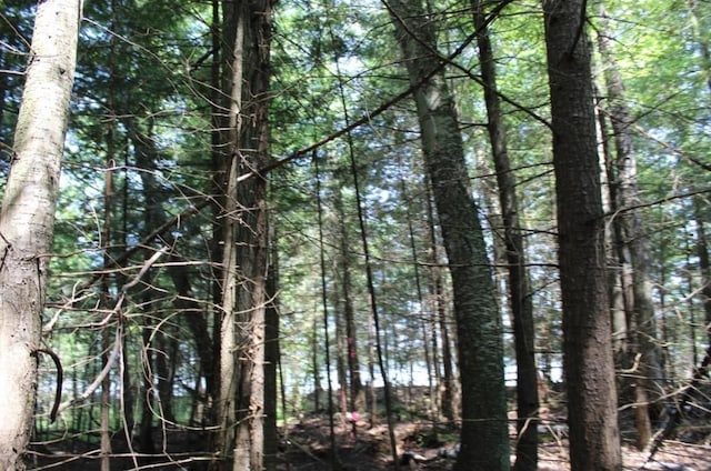 Forest Ln, Pickerel, WI 54465