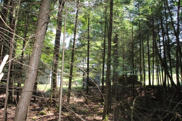 Forest Ln, Pickerel, WI 54465