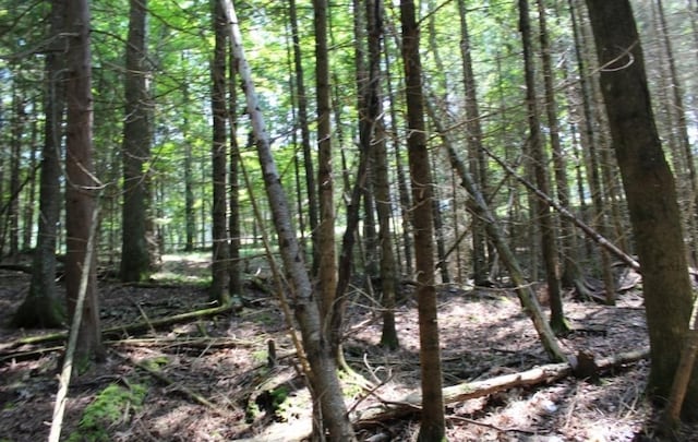 Forest Ln, Pickerel, WI 54465