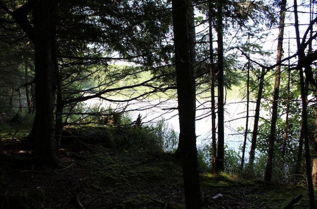 Forest Ln, Pickerel, WI 54465