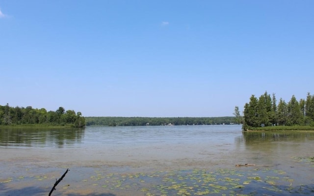 Forest Ln, Pickerel, WI 54465