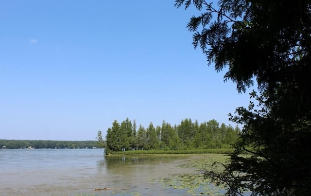 Forest Ln, Pickerel, WI 54465