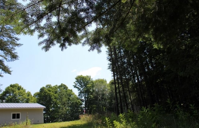 Forest Ln, Pickerel, WI 54465