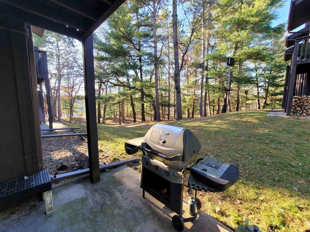 1 Aspen Trl Unit 1, Wisconsin Dells, WI 53965 - exterior view