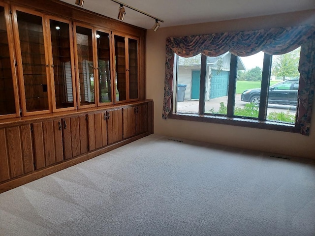 empty room featuring rail lighting, light colored carpet, and a wealth of natural light