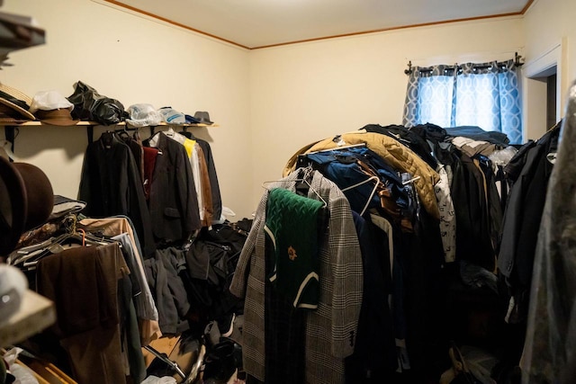 330 E Locust St, Milwaukee, WI 53212 - view of walk in closet