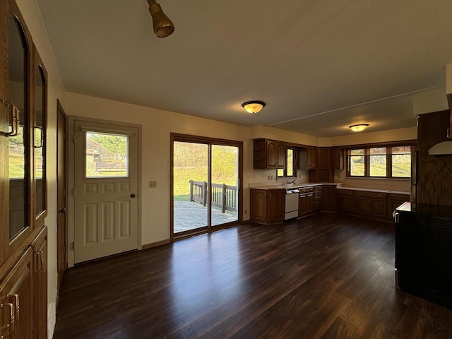 kitchen featuring stainless steel dishwasher, plenty of natural light, and dark wood-type flooring