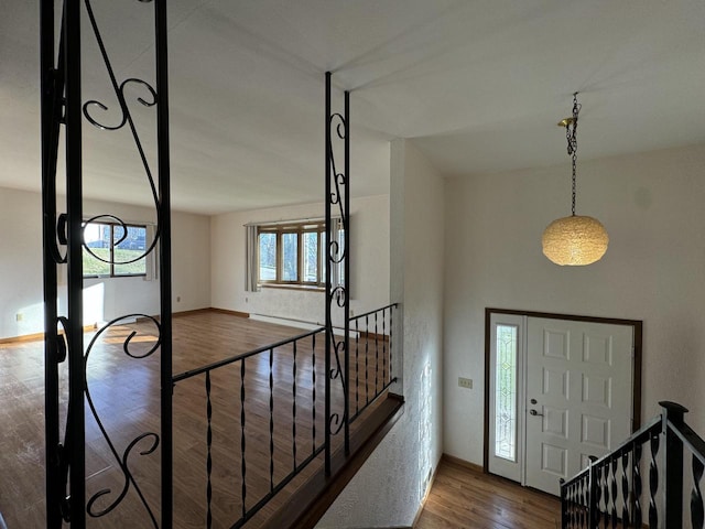 entrance foyer with wood-type flooring and a wealth of natural light